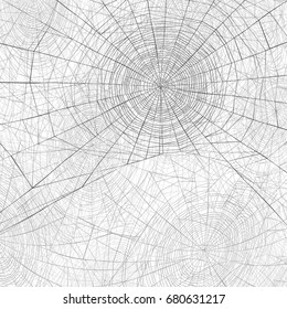 Halloween holiday background.Spider web vector background. 