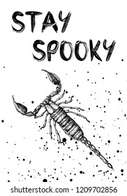 Halloween holiday card. Hand drawn flyer posters and greeting card. Symbolic of evil doings. Vector.
