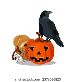Halloween holiday. Vector illustration. Pumpkin with cobweb and black raven on isolated background.