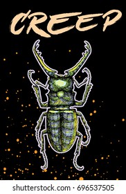 Halloween holidays card with creepy insect. Hand drawn flyer posters and greeting card with handwritten calligraphy words quotes phrases and bug. Vector.