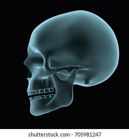 halloween human skull in blue over a black background. Model seems to be semi transparent as if it was an hologram or radiography. cranium. vector illustration