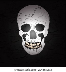 halloween human  skull on the dark background