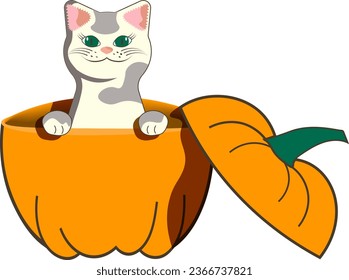 Halloween illustration with animal character smiling fat cat sitting inside of jack o lantern drawing in flat style