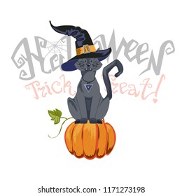 Halloween illustration with black cat on moon background.