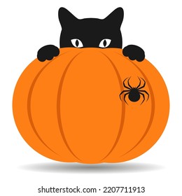 Halloween illustration with black cat and pumpkin isolated on white background