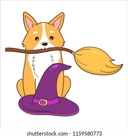 Halloween illustration, Corgi dog with witch broom and hat. Cartoon style.