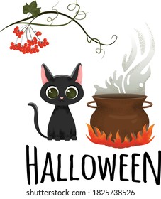 Halloween illustration. A cute black cat sits near a smoking pot. Pumpkin leaf with berries of Rowan. Happy halloween.