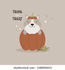 Halloween illustration with funny corgi sitting in a pumpkin. Holiday autumn composition.