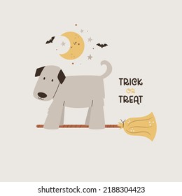 Halloween illustration with funny dog on a witch broom