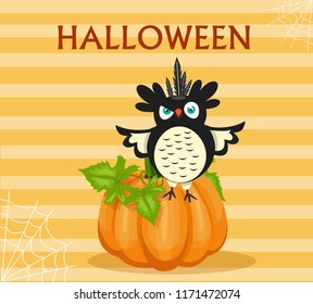 Halloween illustration with an owl and pumpkin, vector