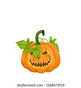 Halloween illustration with pumpkin, vector