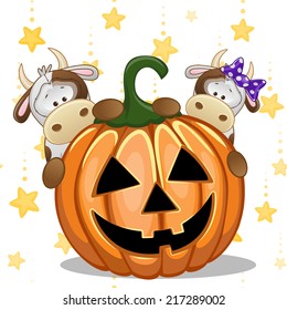 Halloween illustration two Cartoon Cows with pumpkins 