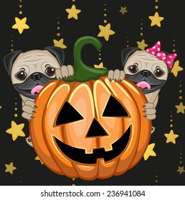 Halloween illustration two Cartoon Pug Dogs with pumpkins 