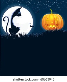 Halloween image with black cat wnd pumpkin in night .Vector