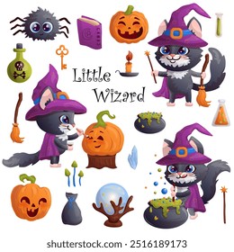 Halloween images set with black cat, cauldron, pumpkin, magic ball isolated on white background. Little wizard. Vector illustration.