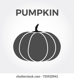 Halloween isolated pumpkin in vector. Autumn dall thanksgiving food for vegetarian. Natural seasonal plant from farm or garden. White light and black gray dark.