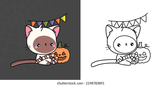 kitten color in clipart