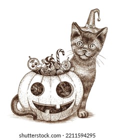 Halloween. Kitten with pumpkin and candies.