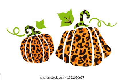 Halloween leopard print pumpkins with leaves, animal print autumn isolated pumpkin cliparts, jack o lantern funny cartoon flat holiday elements for party decoration, clothes print - vector
