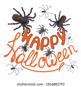 Halloween. Lettering. The text is drawn - Happy Halloween, spiders and tarantulas are drawn nearby. The drawing is drawn on a white background. Stock vector illustration.