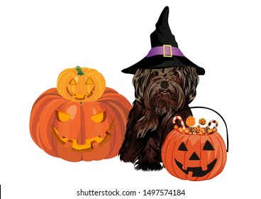 Halloween. Little dog and pumpkin. Vector illustration. Isolated on a white background.