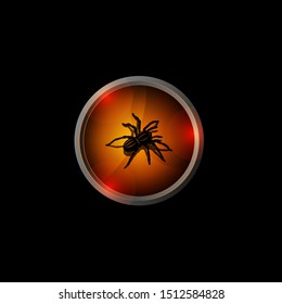 Halloween logo black 3D spider on an orange background with shadows, scary insect