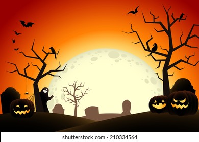 Halloween midnight