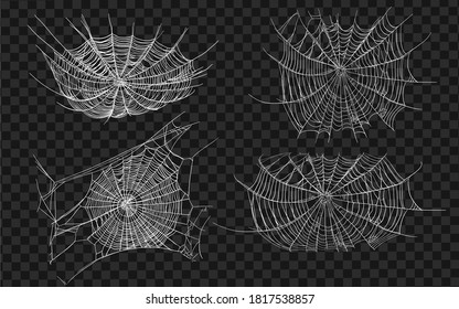 Halloween monochrome spider web and spiders isolated on black background. Hector venom cobweb set. Vector illustration