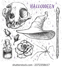 Halloween mythical black and white vector illustration set. Illustration of a witch hat, a cat skull, a magic wand, a spider, a magic potion on a background of the night sky with stars. 