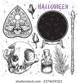 Halloween mythical black and white vector illustration set. Illustration of a witch hat, a cat skull, a magic wand, a spider, a magic potion on a background of the night sky with stars. 