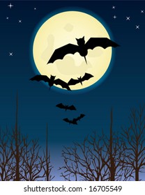 Halloween night