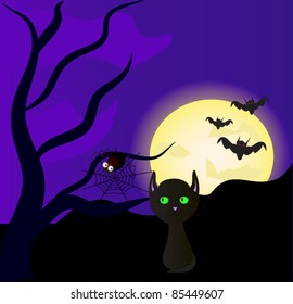 Halloween night
