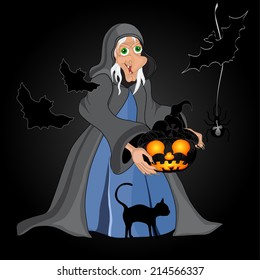 Halloween night background with  witch and pumpkins. Halloween banner .Vector illustration