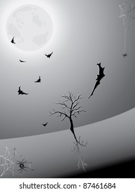 Halloween night with bat and spider