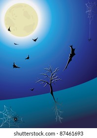 Halloween night with bat and spider