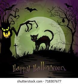Halloween night scene with spooky cat