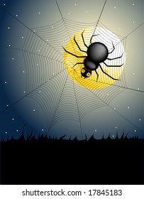 noche de halloween - araña