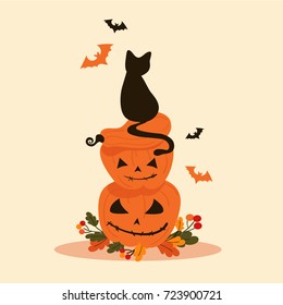 Halloween objects - black cat sits on pumpkins