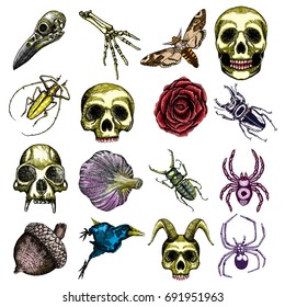 Halloween and occult magic attributes set of witchcraft, for cards, decorative elements. Vector.