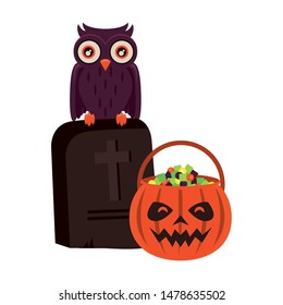 halloween october scary celebration, pumpkin candys pot with stone and owl cartoon vector illustration graphic design