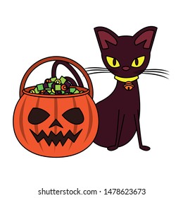 halloween october scary celebration, witch cat with pumpkin candies pot cartoon vector illustration graphic design