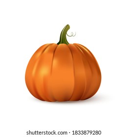 Halloween orange pumpkin. Isolated traditional realistic food. October holiday decoration vector illustration. Autumn spooky decor for fun and celebration. Nature harvest.