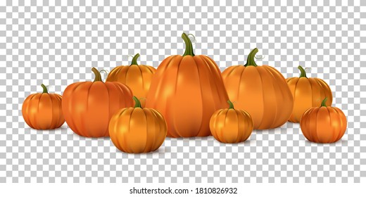 Halloween orange pumpkin set. Isolated traditional realistic food. October holiday decoration vector illustration. Autumn spooky decor for fun and celebration. Nature harvest in row.