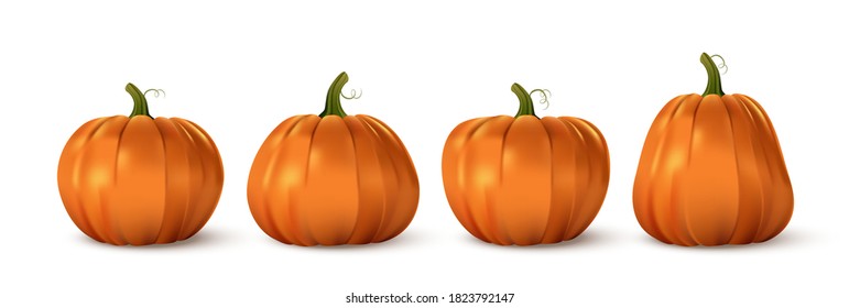 Halloween orange pumpkin set. Isolated traditional realistic food. October holiday decoration vector illustration. Autumn spooky decor for fun and celebration. Nature harvest in row.