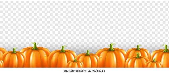 Halloween With Orange Pumpkins Border Transparent Background With Gradient Mesh, Vector Illustration