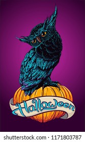 halloween owl with pumpkin