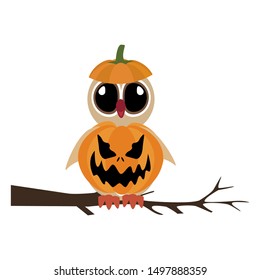 Halloween owl pumpkin illustration on the white background. Vector illustration