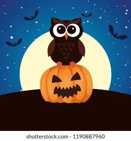 halloween owl with pumpkin on night