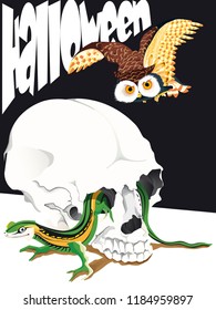 Halloween owl and skull