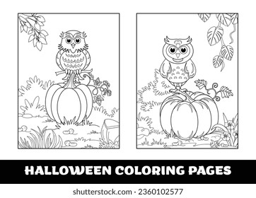 Halloween Owl and umpkin coloring pages for kids. Pumpkin themed outlined for coloring page on white background..